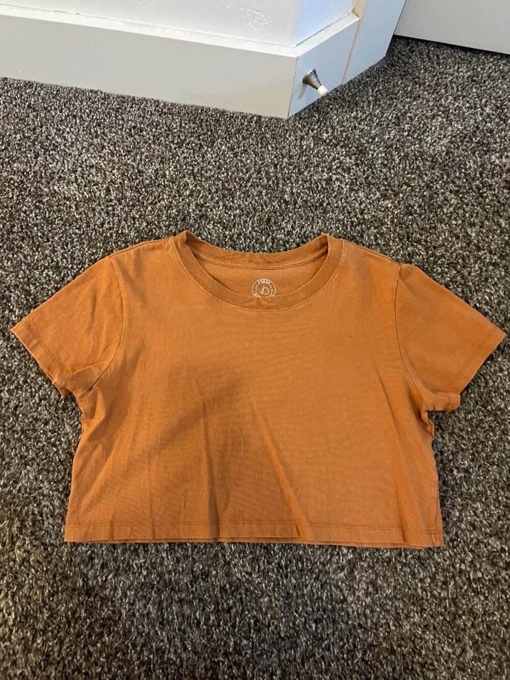 Urban Outfitters - Burnt Orange Cropped Tee - Medium
